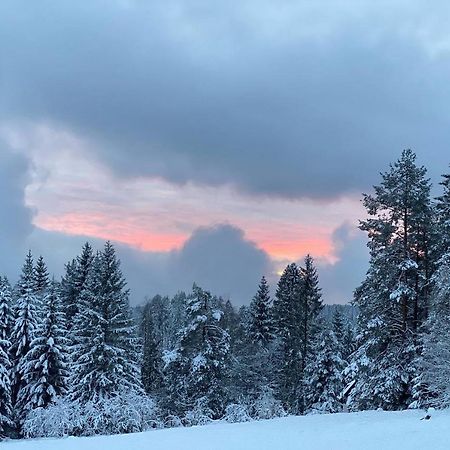 Schwarzwald Wohnung Kniebis Freudenstadt Bagian luar foto