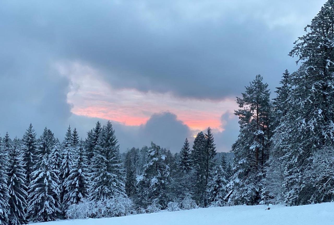 Schwarzwald Wohnung Kniebis Freudenstadt Bagian luar foto