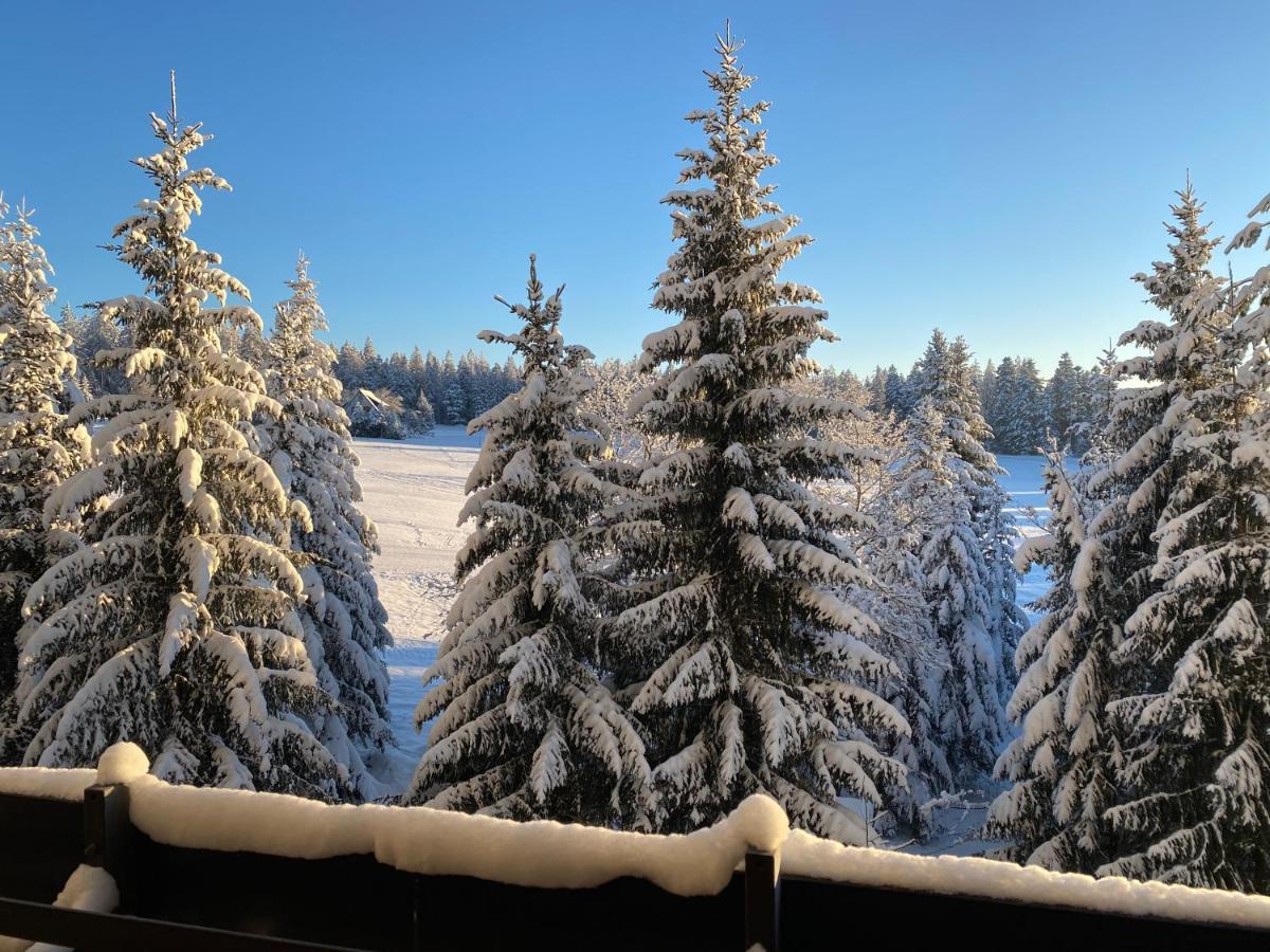 Schwarzwald Wohnung Kniebis Freudenstadt Bagian luar foto