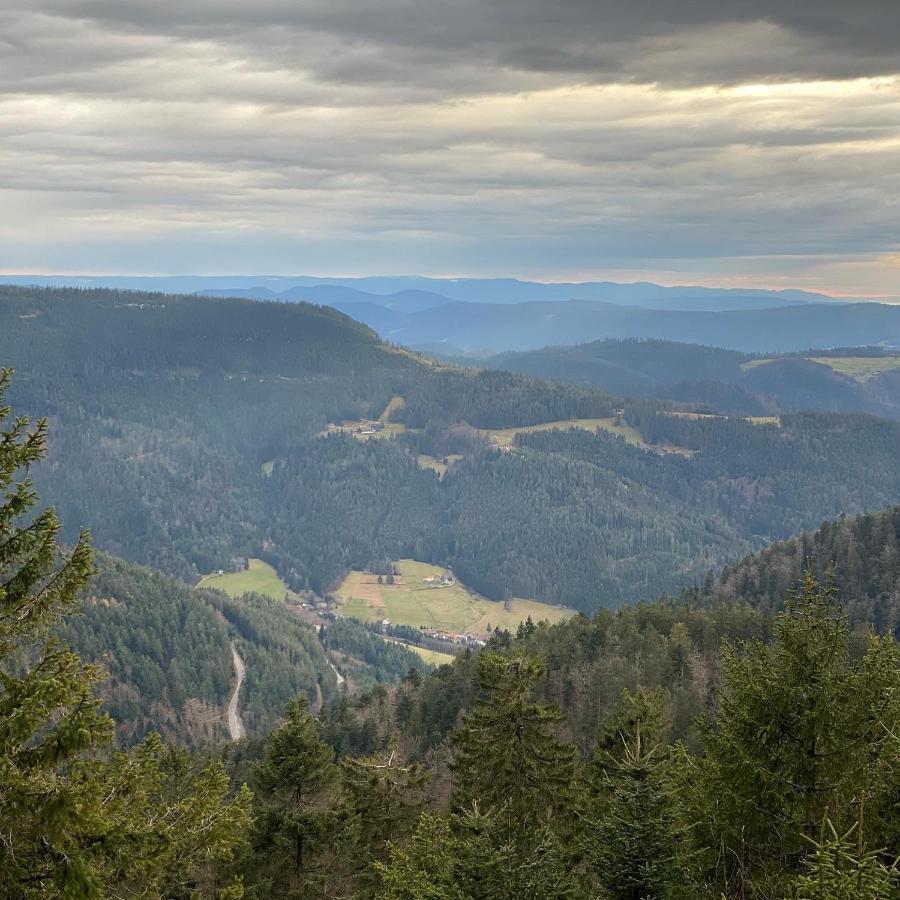 Schwarzwald Wohnung Kniebis Freudenstadt Bagian luar foto